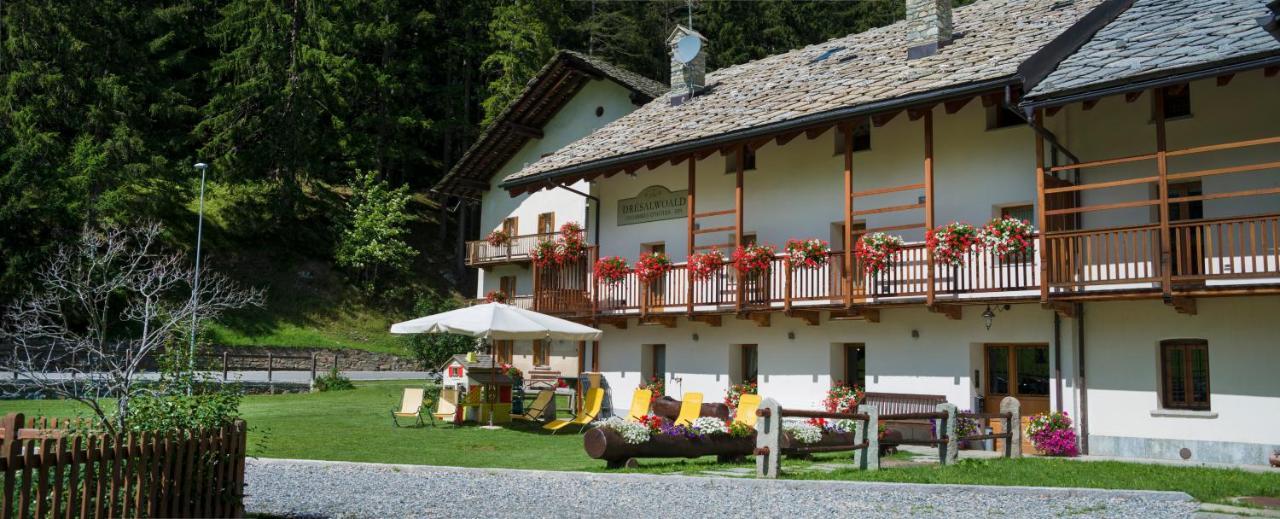 Bed and Breakfast Dresalwoald Грессоне-Сен-Жан Екстер'єр фото